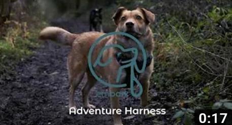 Adventure No Pull Dog Harness